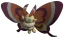 Cinnamoth portrait